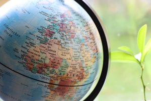 Qué conocimientos debe tener un guarda forestal